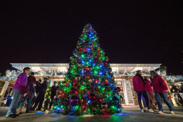 Christmas tree