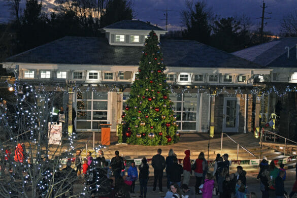 overhead shot of Christmas Tree before it's lit