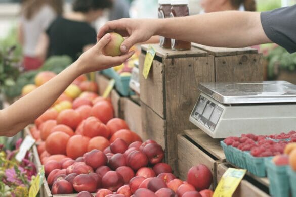 A man handing a woman an apple at a fruit stand