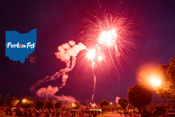 Fireworks over the park