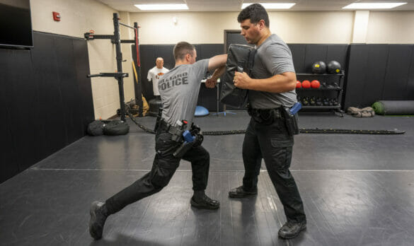 Two officers sparring