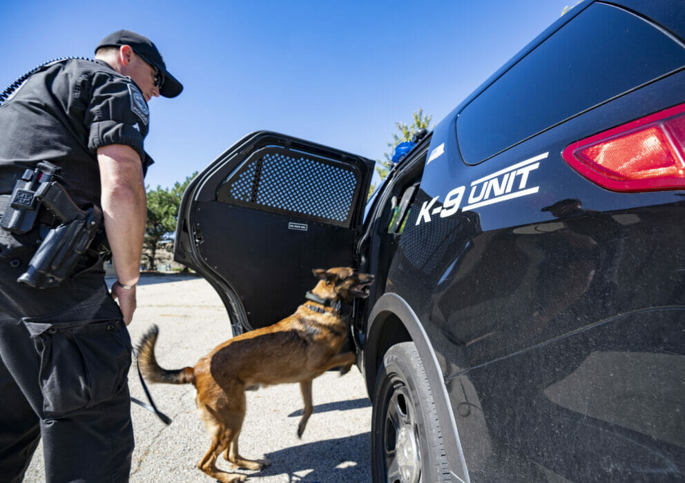 K9 Officer with his k9 entering a police cruiser