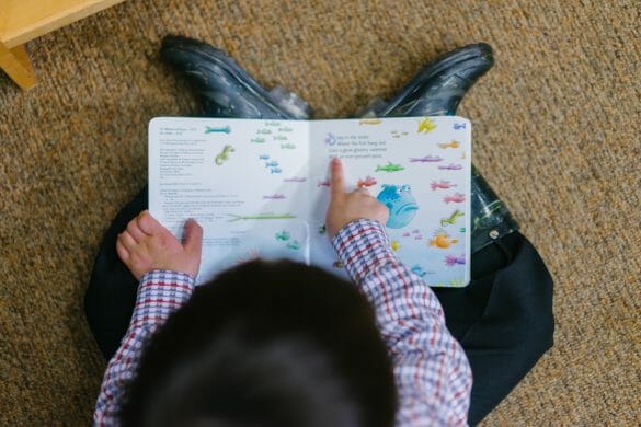 Boy reading children's book