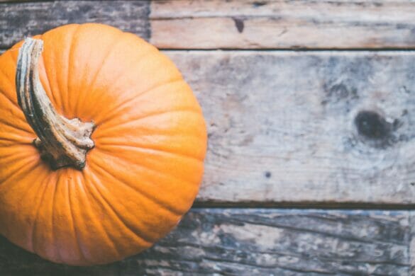 Pumpkin on top of wooden floor