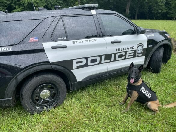 Police dog posed in front of cruiser