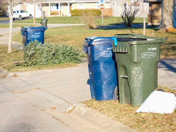 Trash and recycling bins on the curb