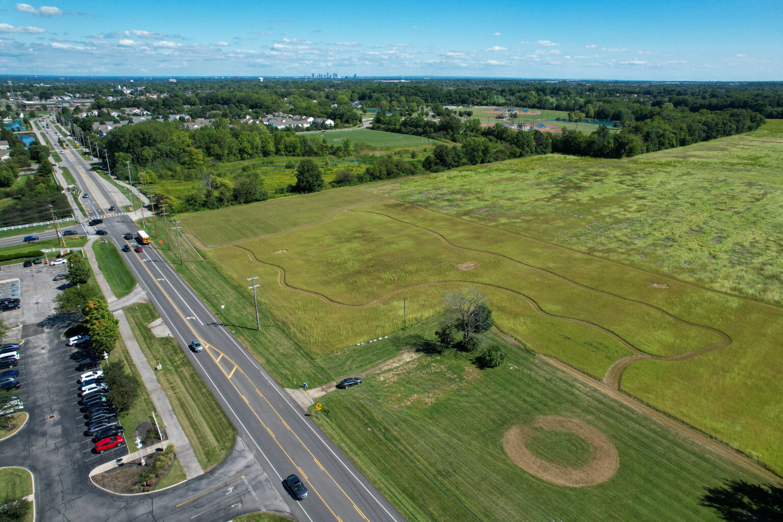 Hilliard Sunflower Field Opens to Raise Funds for Refugees City of