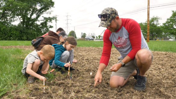 A family planting sunflower seeds