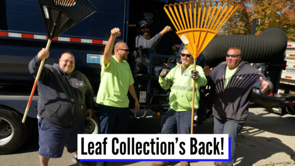 Leaf collection crew