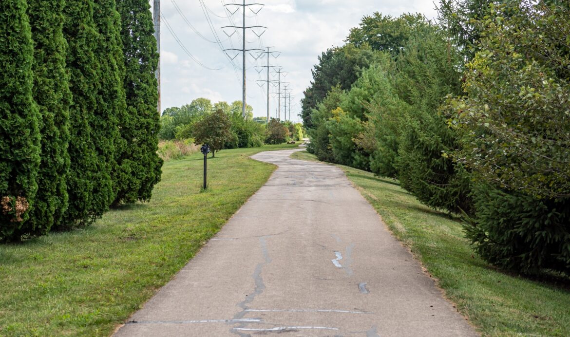 Trail