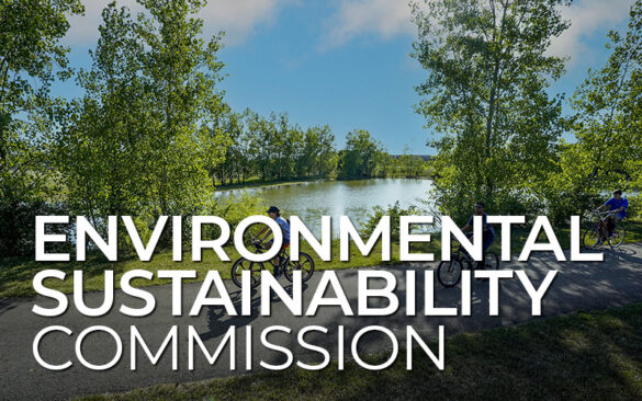Environmental Sustainability Commission