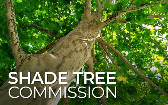 Shade Tree commission