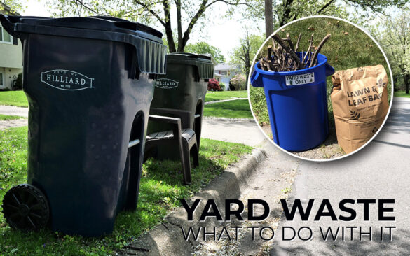 Photo of yard waste containers filled with sticks and a bag of leaves