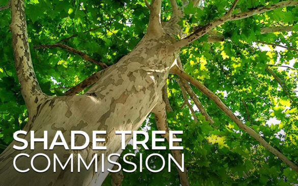 Shade Tree Commission