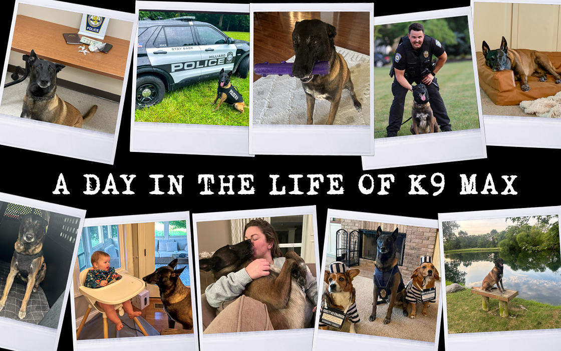 A day in the life of K9 Max