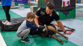 Safety town gallery6