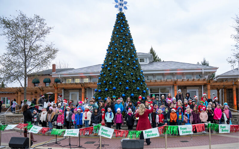 Tree Lighting