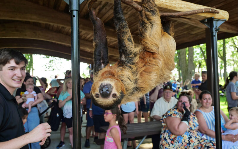 Zoo to you